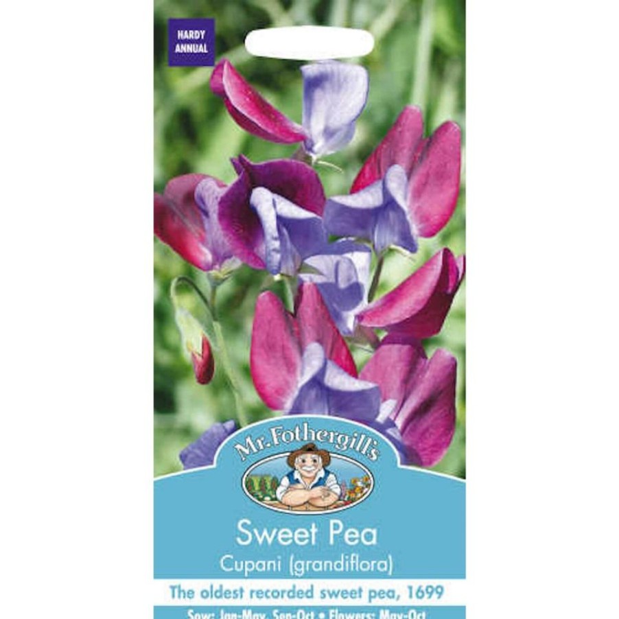 Homebase Seeds | Mr. Fothergill'S Sweet Pea Cupani Grandiflora Seeds