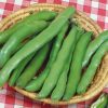 Homebase Grow Your Own | Broad Bean Bunyards Exhibition - Vegetable 9Cm