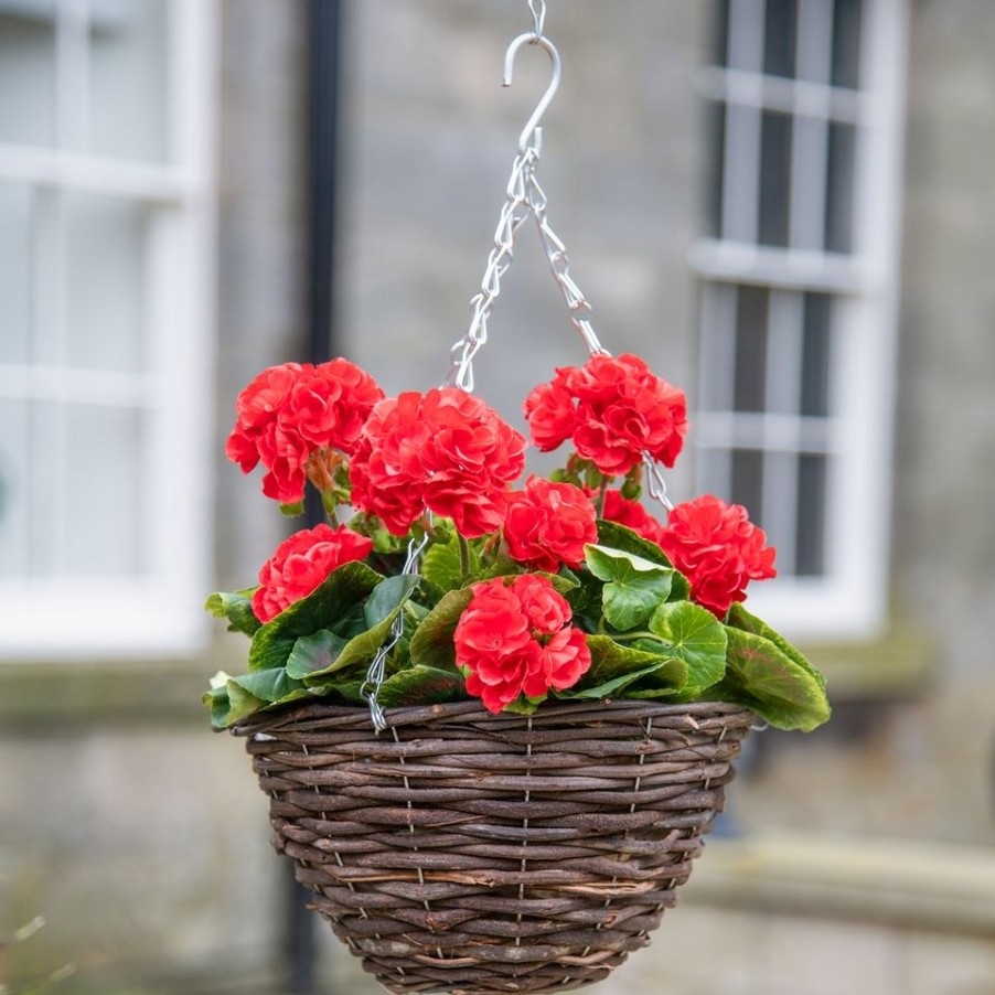 Homebase Artificial Plants | Artificial Red Geranium Hanging Basket