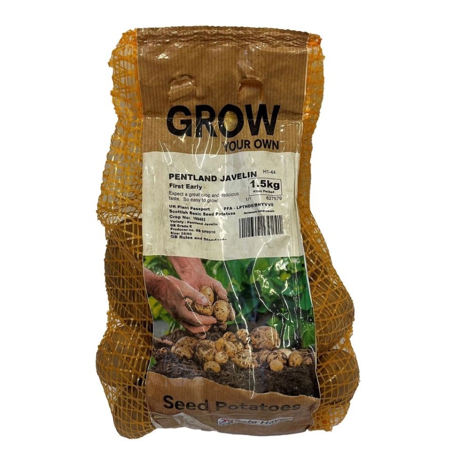 Homebase Grow Your Own | Pentland Javelin Seed Potato - 1.5Kg