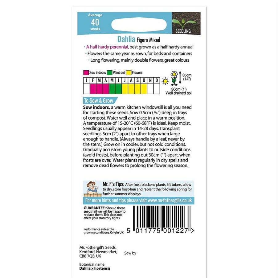 Homebase Seeds | Mr. Fothergill'S Dahlia Figaro Mixed Seeds