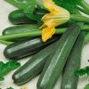 Homebase Grow Your Own | Courgette Ambassador - Vegetable 9Cm