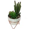 Homebase Artificial Plants | Artificial Succulent In Rose Gold Stand