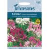 Homebase Seeds | Cleome Colour Fountain Mixed Seeds