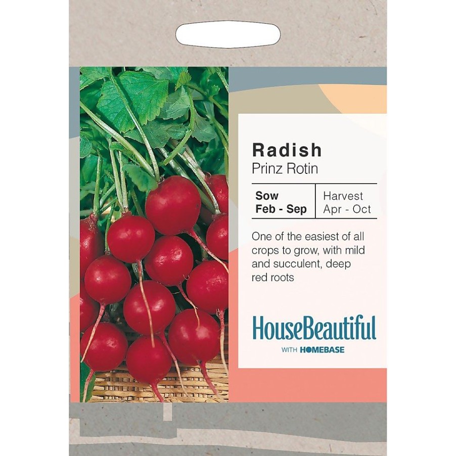 Homebase Seeds | House Beautiful Radish Prinz Rotin Seeds