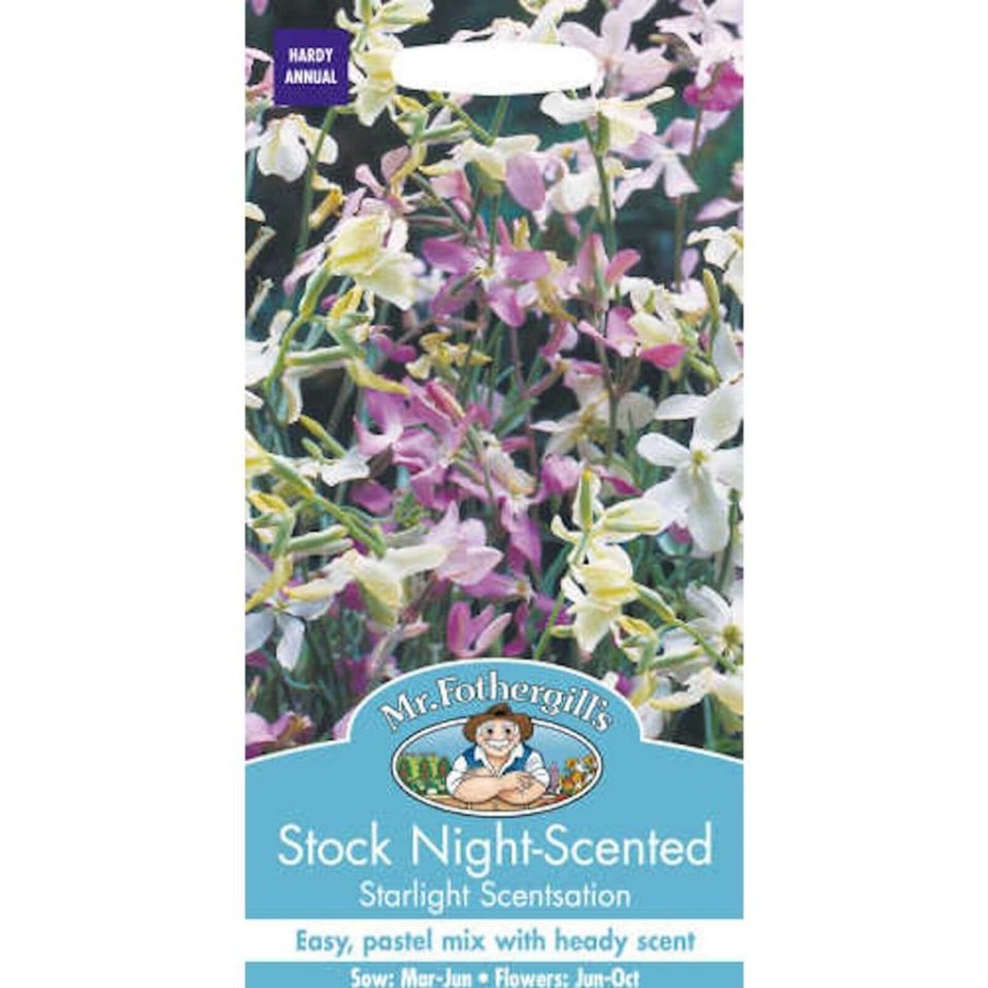 Homebase Seeds | Mr. Fothergill'S Stock Night Scented Starlight Scentsation Seeds