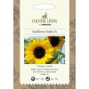 Homebase Seeds | Country Living Sunflower Soleo F1 Seeds