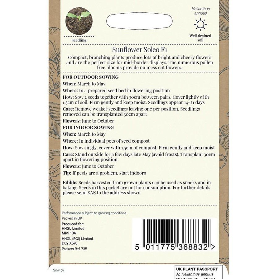 Homebase Seeds | Country Living Sunflower Soleo F1 Seeds