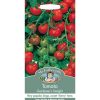 Homebase Seeds | Mr. Fothergill'S Tomato Gardeners Delight Fruit Seeds