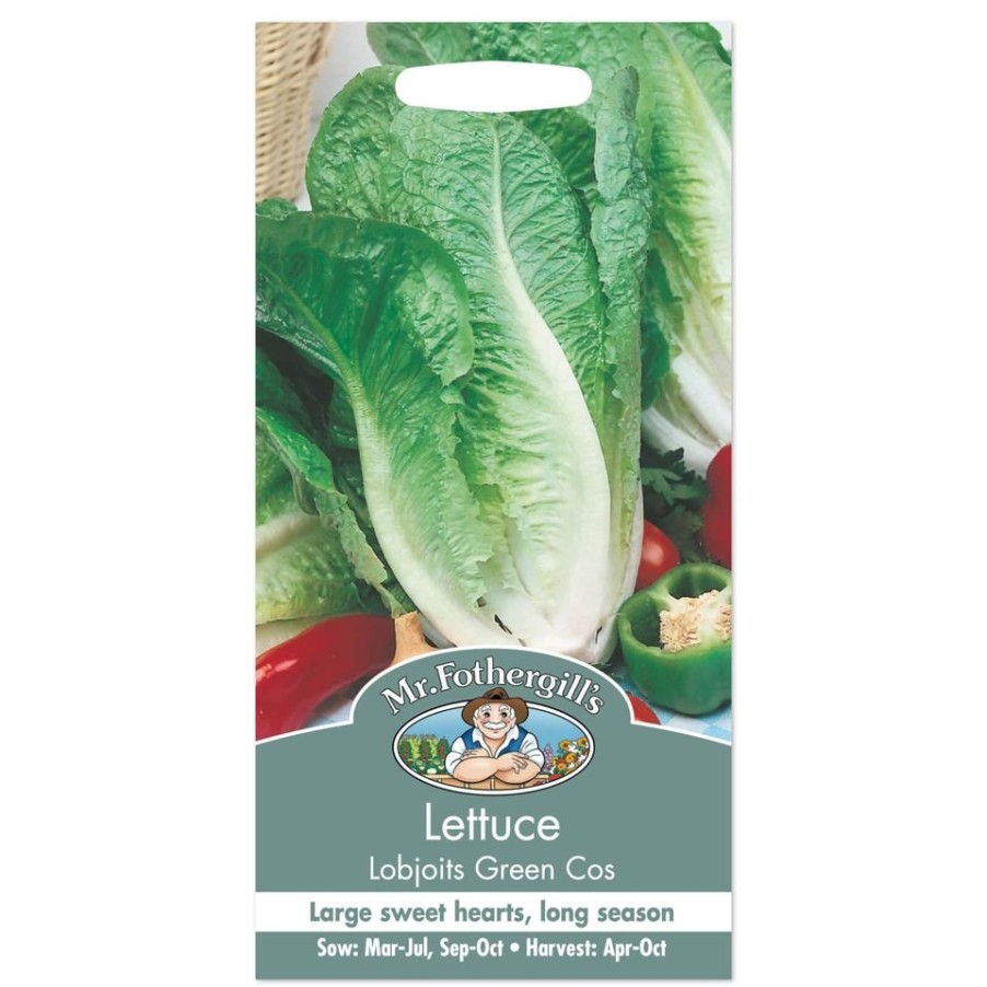 Homebase Seeds | Mr. Fothergill'S Lettuce Lobjoits Green Cos Seeds