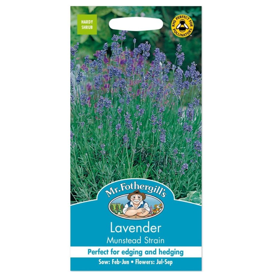 Homebase Seeds | Mr. Fothergill'S Lavender Munstead Strain Seeds