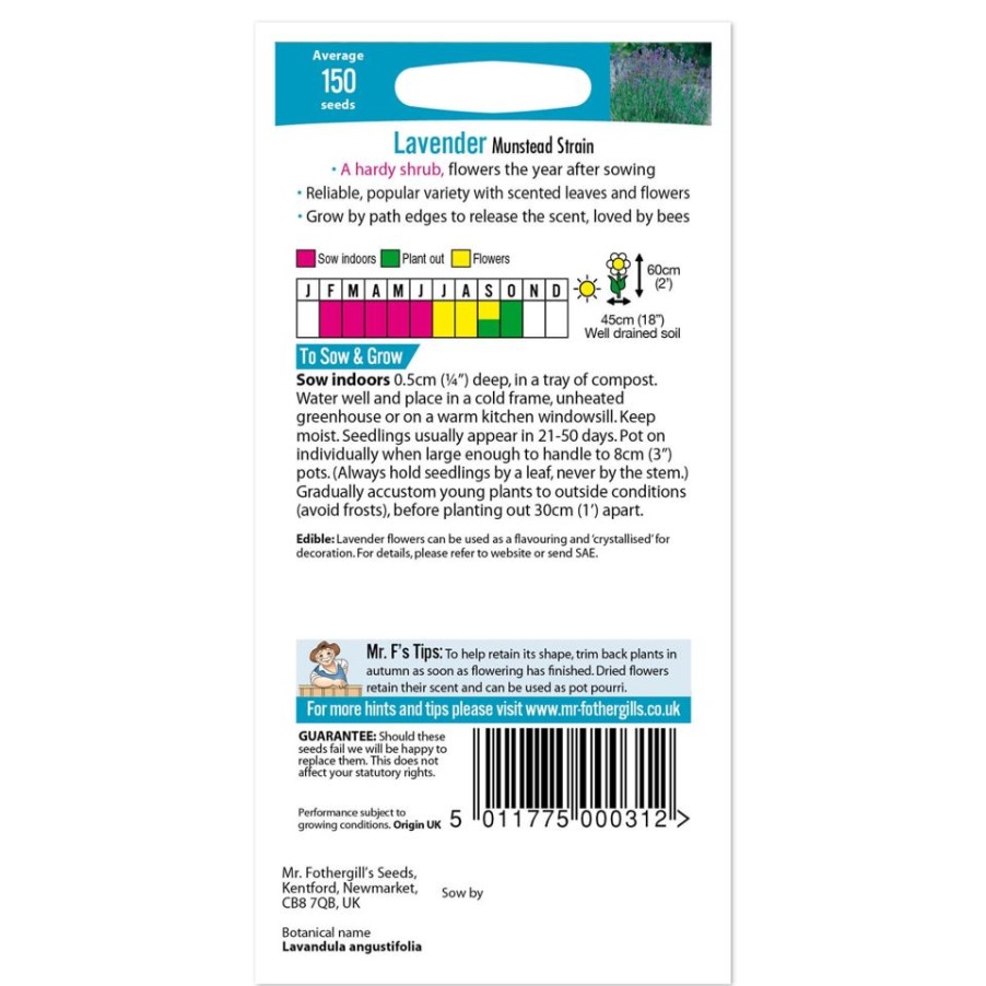 Homebase Seeds | Mr. Fothergill'S Lavender Munstead Strain Seeds