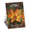 Homebase Summer Flowering Bulbs | Pot Lily Happy Memories Flower Bulbs