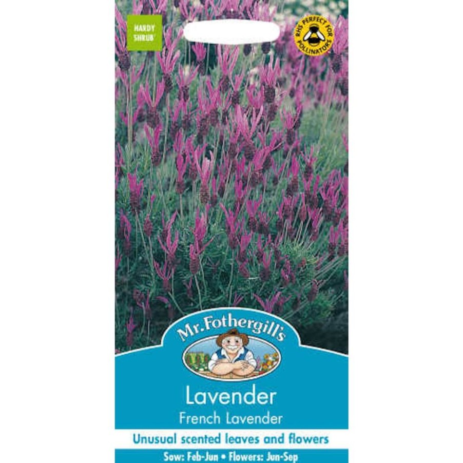 Homebase Seeds | Mr. Fothergill'S Lavender French Lavender Seeds