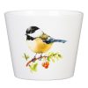 Homebase Plant Pots | Scheurich Blue Tit Indoor Pot - 13Cm